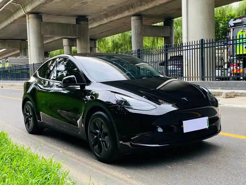 Tesla Model Y — фото 10