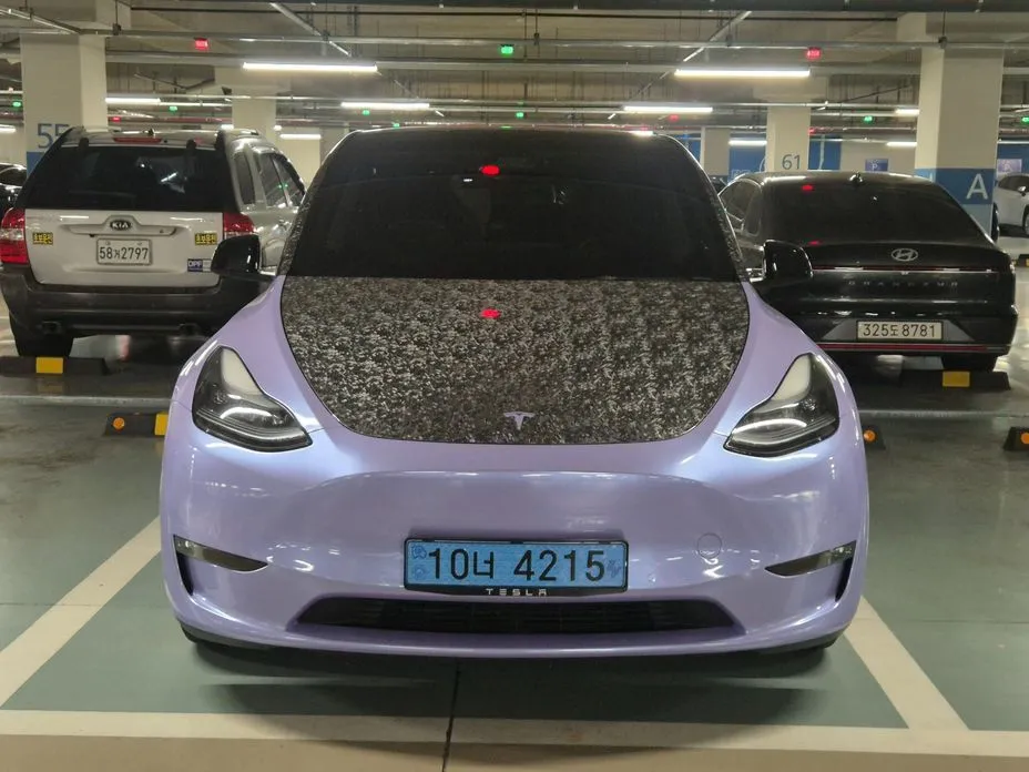 Tesla Model Y — фото 2