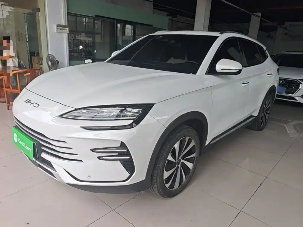 BYD PLUS New Energy — фото 10
