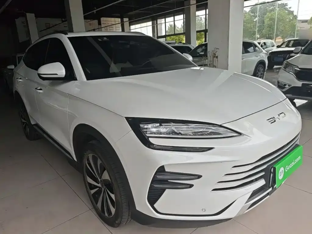 BYD PLUS New Energy — фото 8