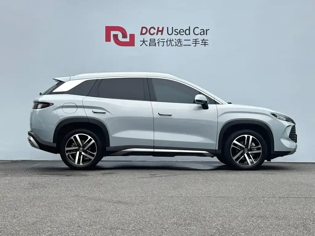 BYD L DM-i — фото 2