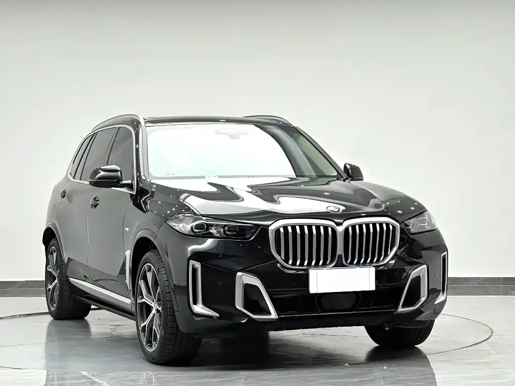 BMW X5 — фото 9