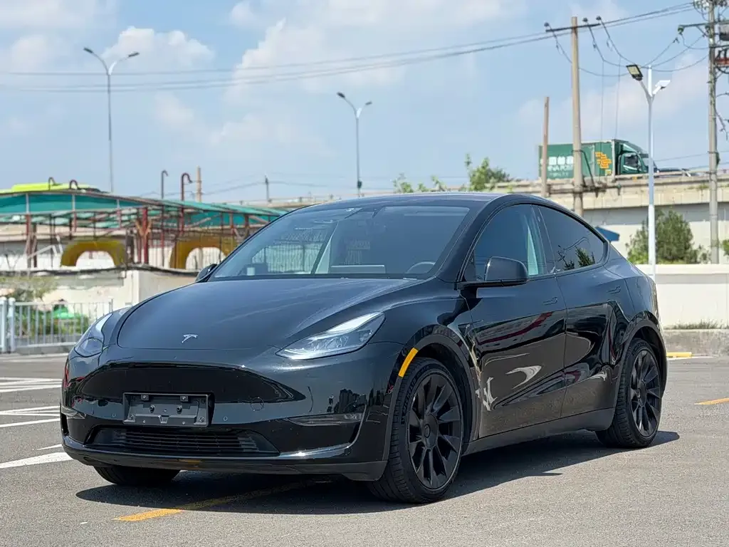 Tesla Model Y — фото 1