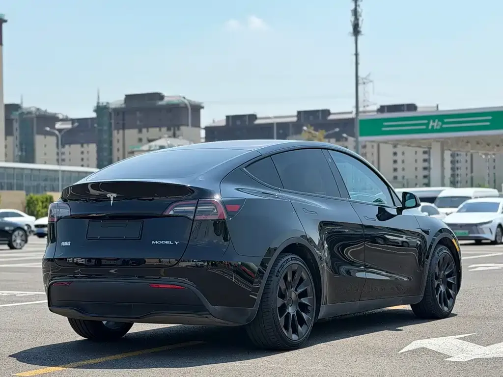 Tesla Model Y — фото 10