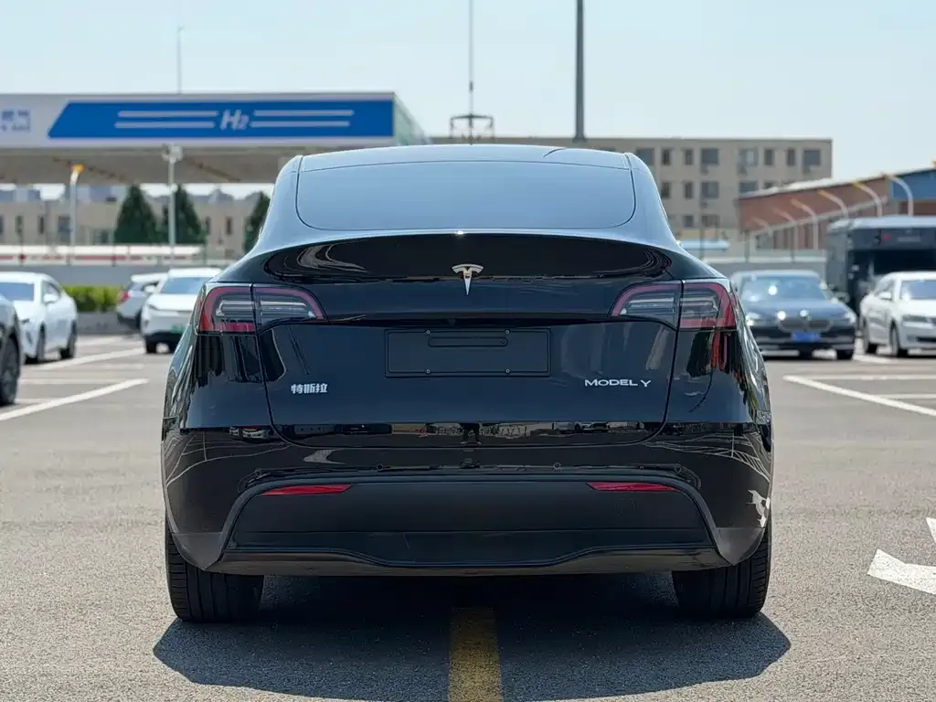 Tesla Model Y — фото 9
