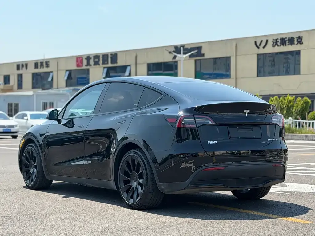 Tesla Model Y — фото 8