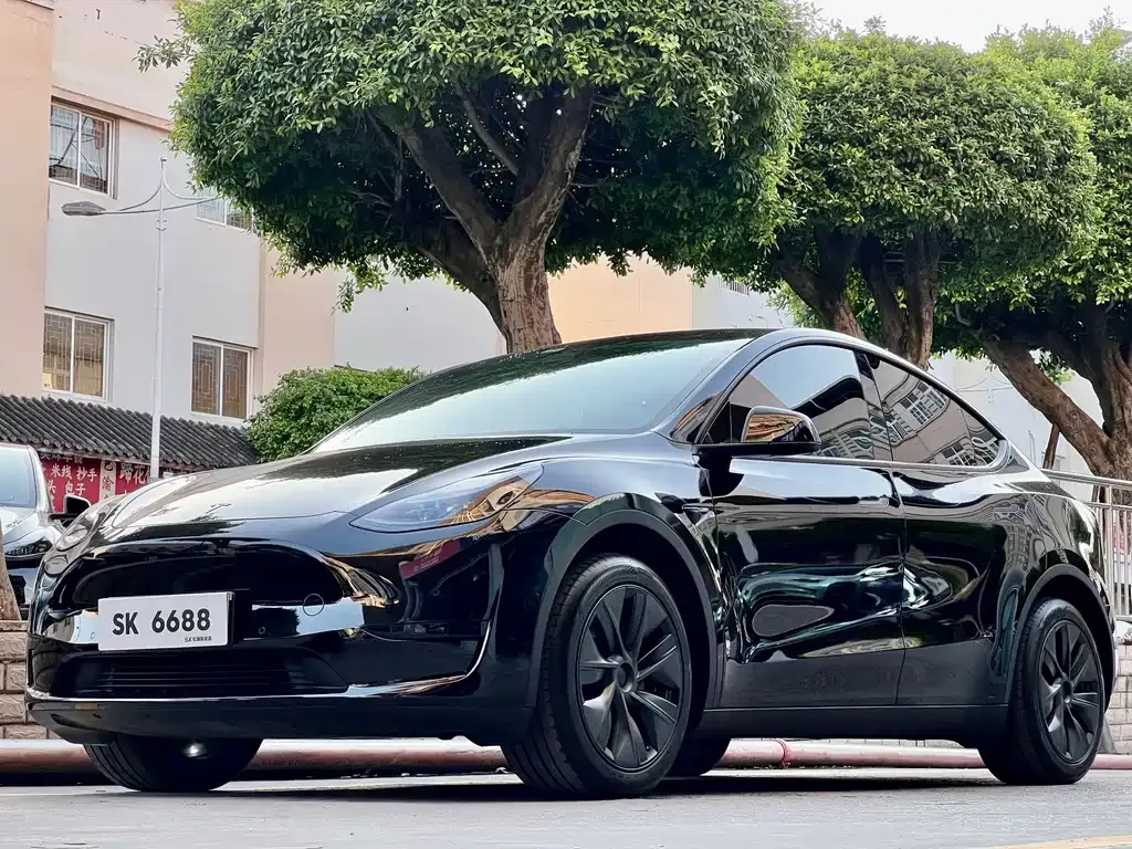 Tesla Model Y — фото 1