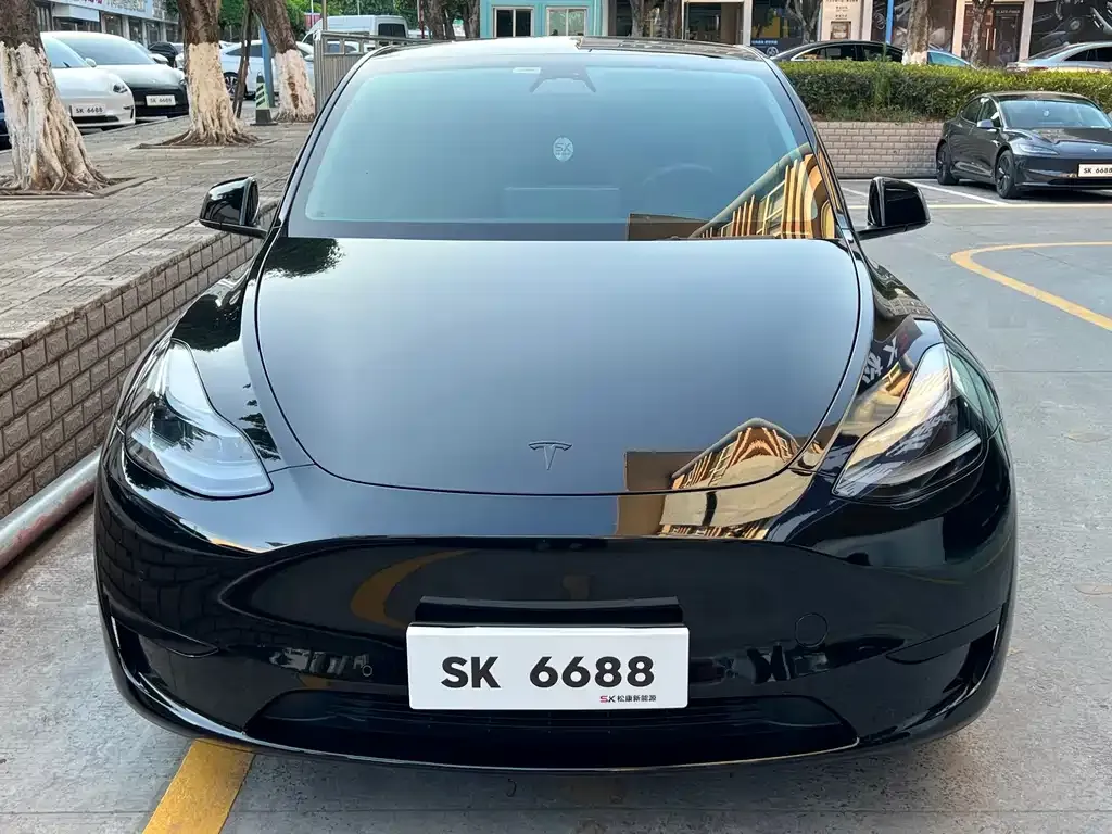 Tesla Model Y — фото 3