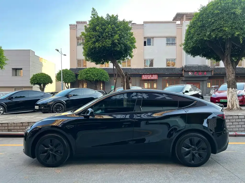 Tesla Model Y — фото 7