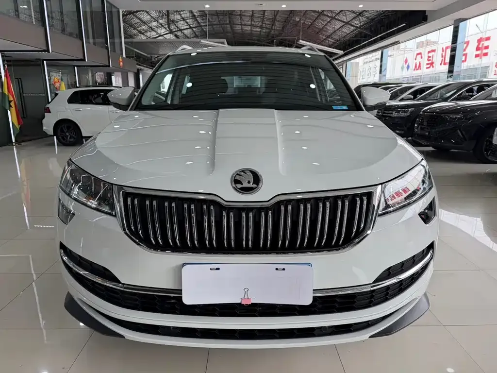 Skoda Karoq — фото 9