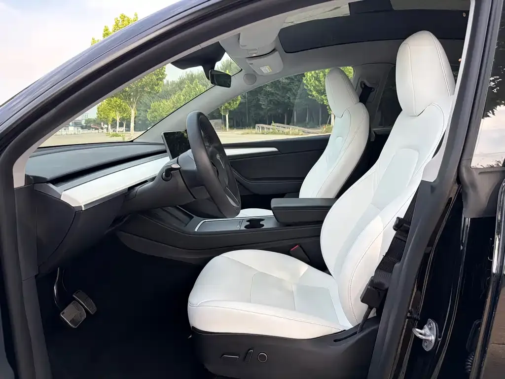 Tesla Model Y — фото 9