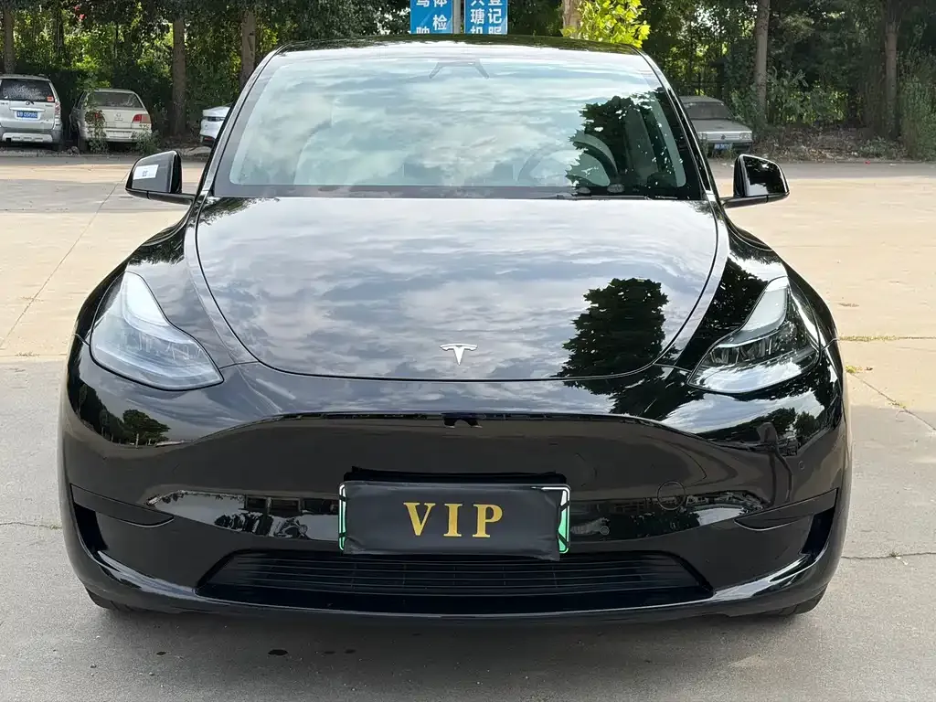 Tesla Model Y — фото 10