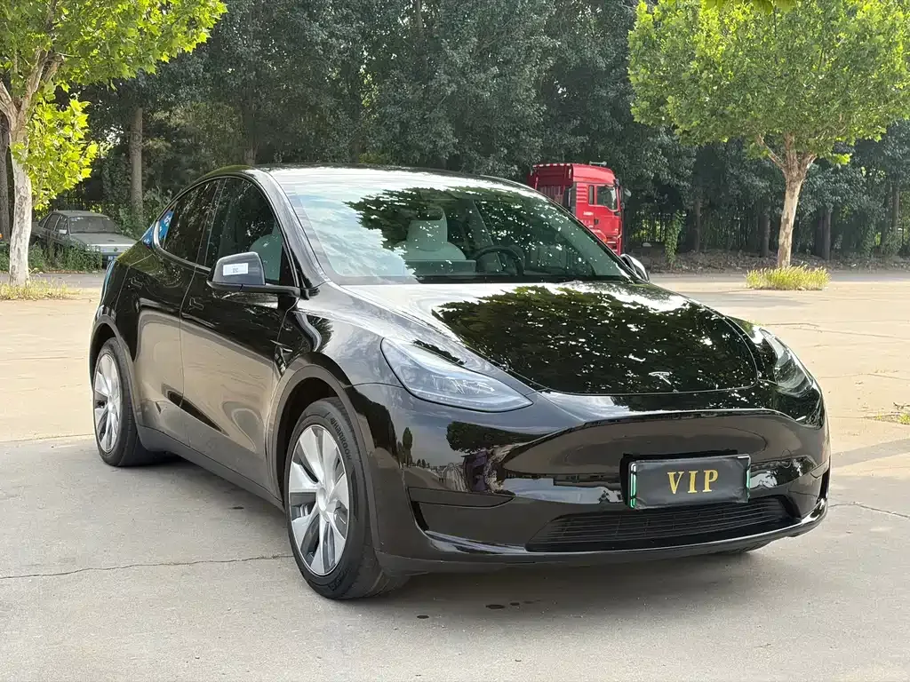 Tesla Model Y — фото 6