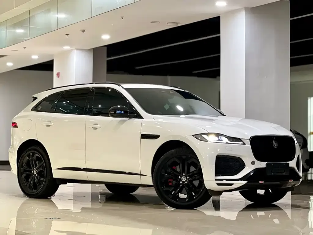 Jaguar F-PACE — фото 9