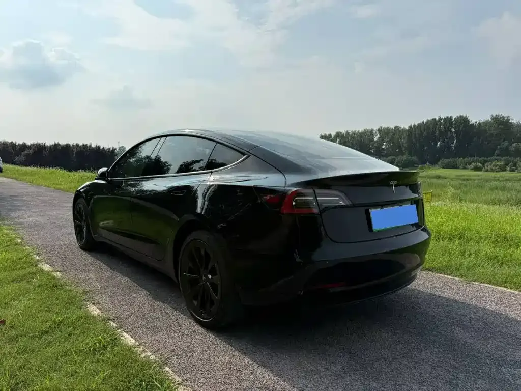 Tesla Model 3 — фото 3