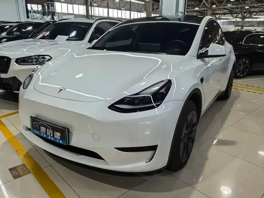 Tesla Model Y — фото 1
