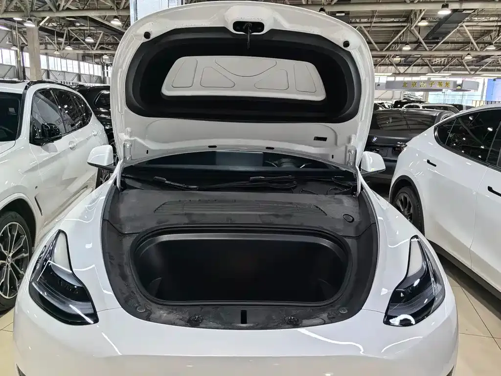 Tesla Model Y — фото 2