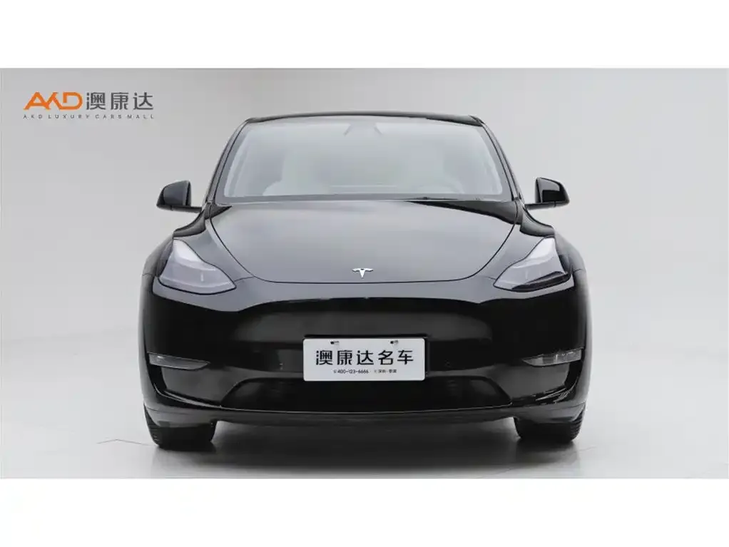 Tesla Model Y — фото 9