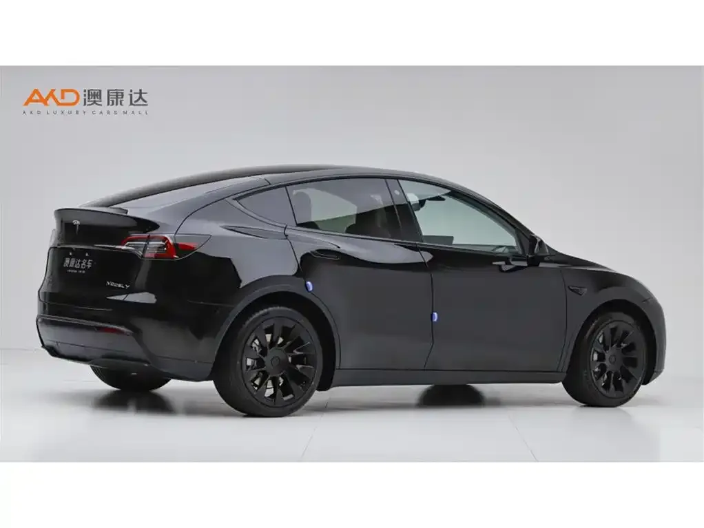 Tesla Model Y — фото 8