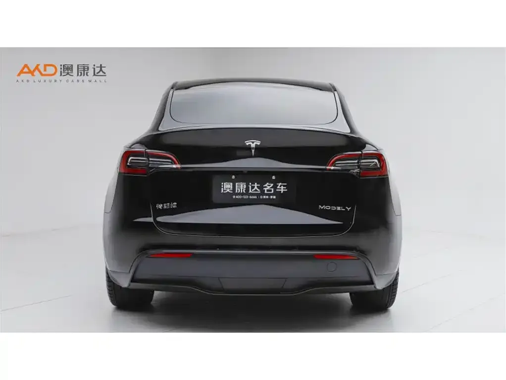 Tesla Model Y — фото 2