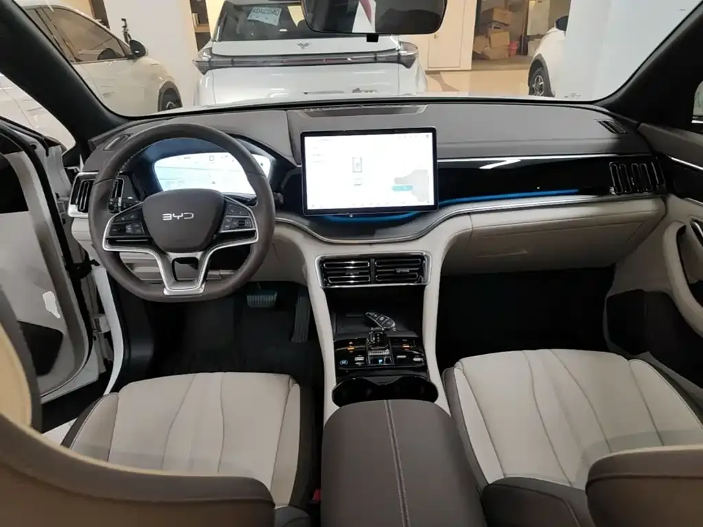 BYD PLUS New Energy — фото 6