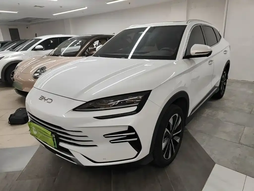 BYD PLUS New Energy — фото 9