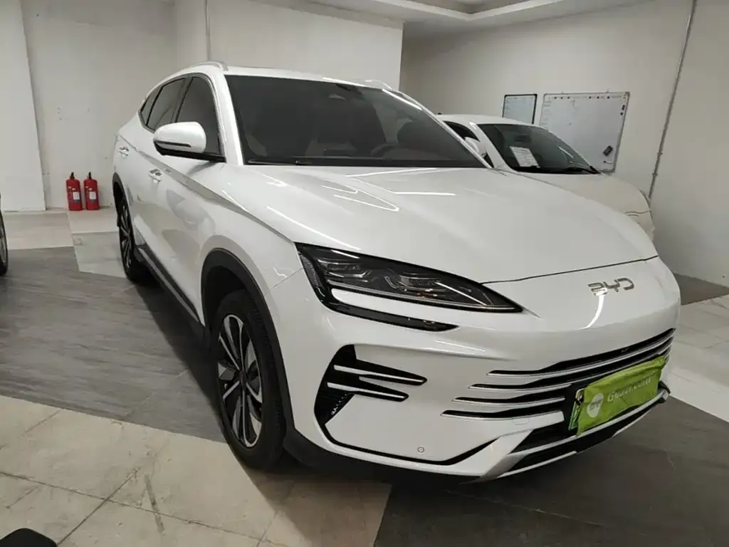 BYD PLUS New Energy — фото 8