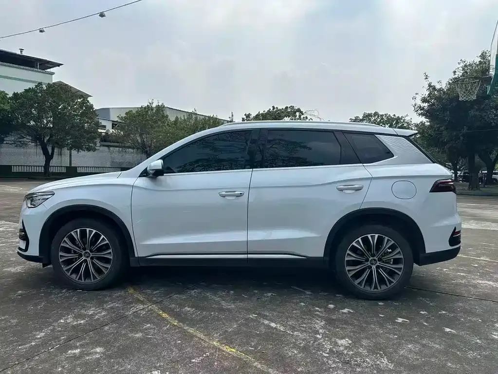 BYD Pro New Energy — фото 2