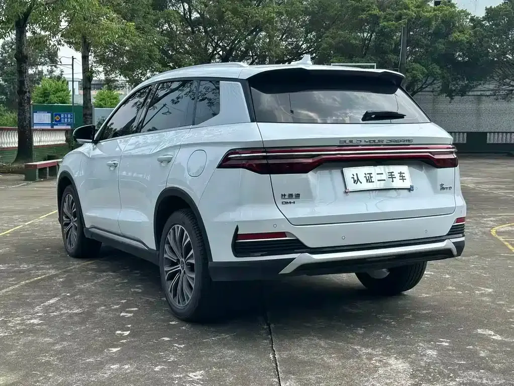 BYD Pro New Energy — фото 6