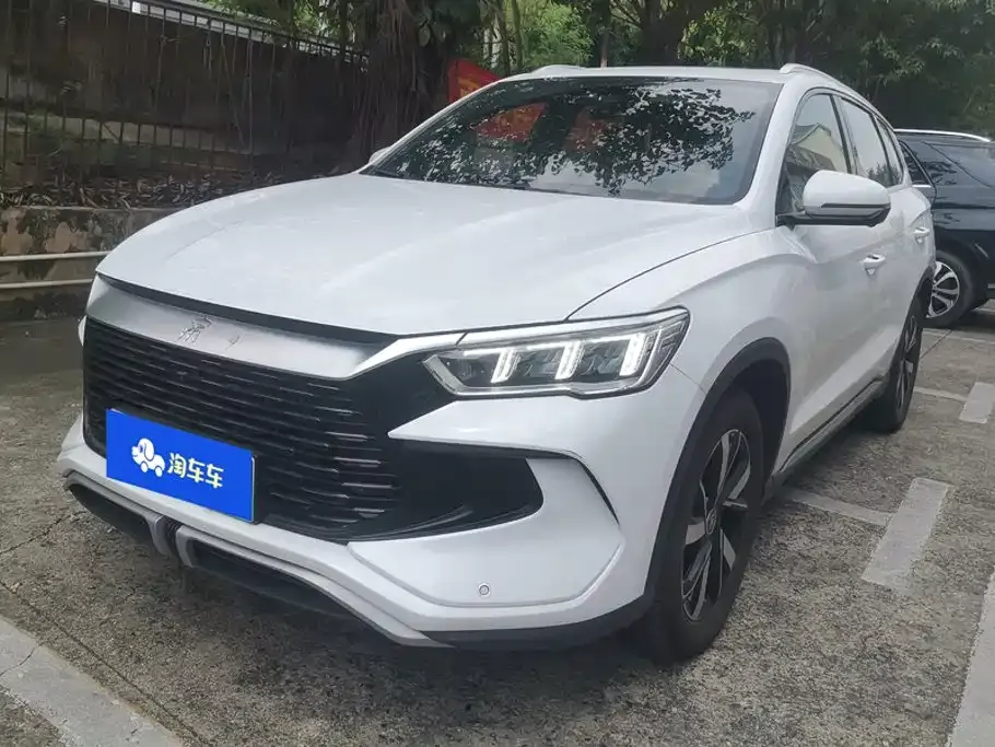 BYD Pro New Energy — фото 1