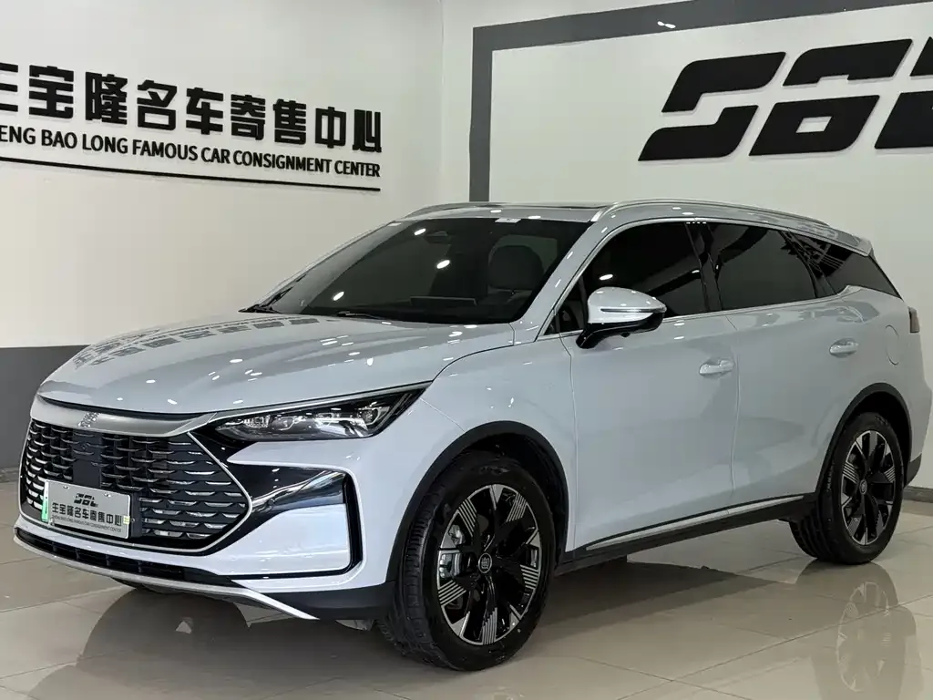 BYD Tang New Energy — фото 1