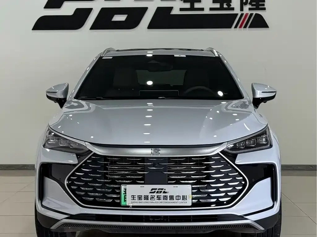BYD Tang New Energy — фото 10