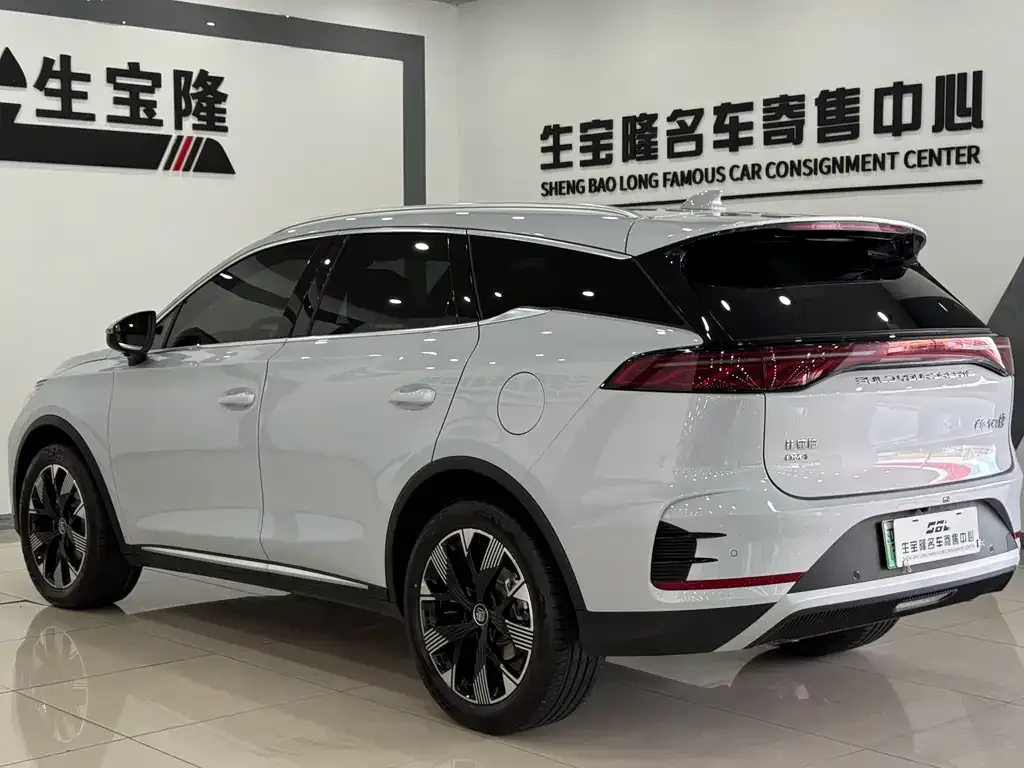 BYD Tang New Energy — фото 4