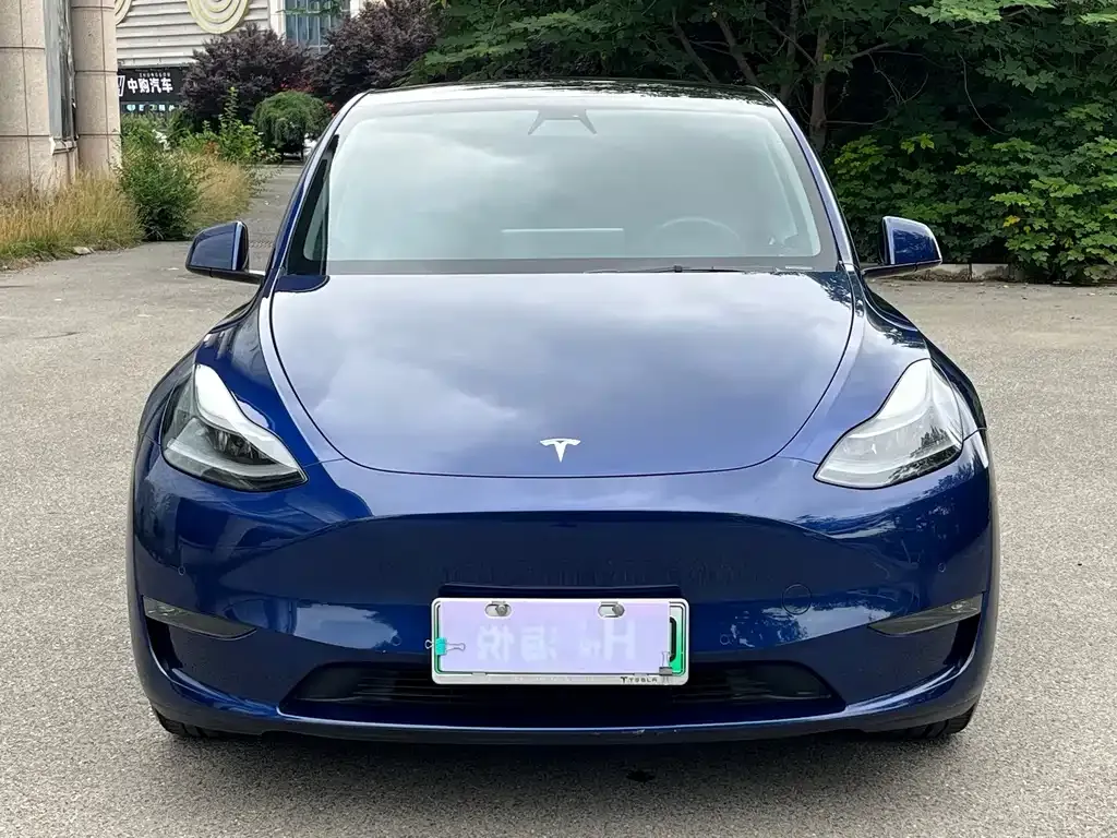 Tesla Model Y — фото 4