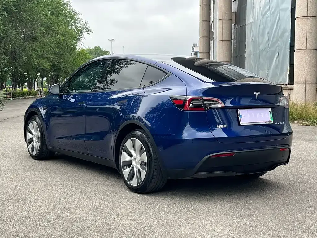Tesla Model Y — фото 6