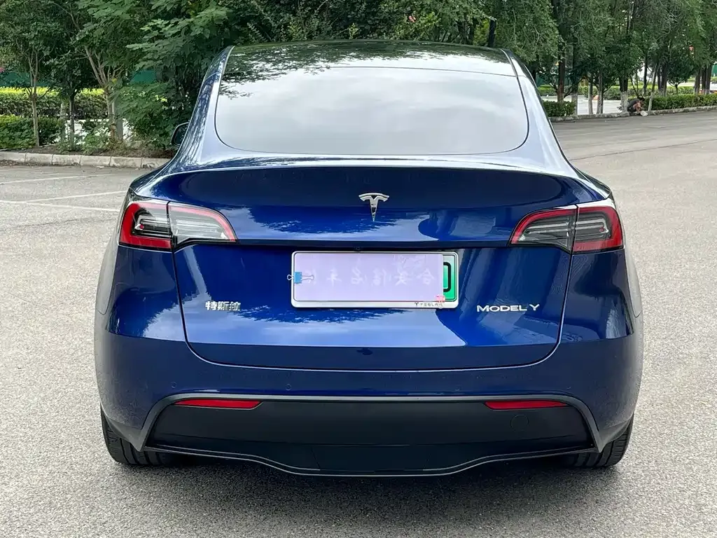 Tesla Model Y — фото 10