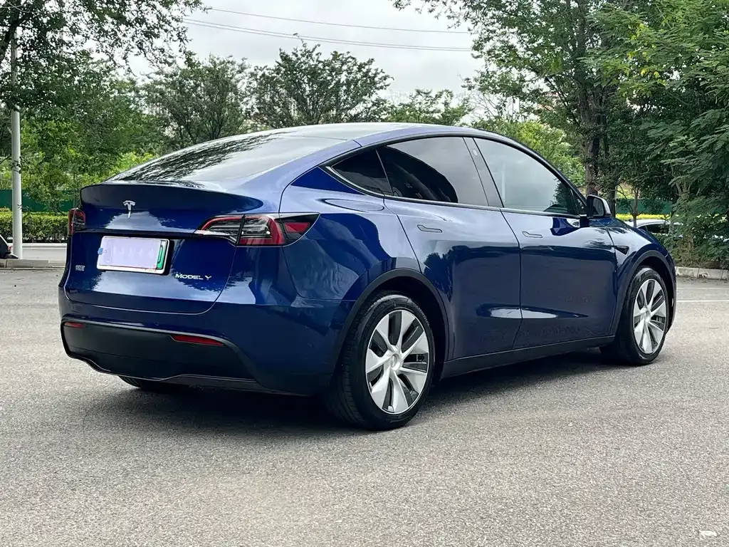 Tesla Model Y — фото 5