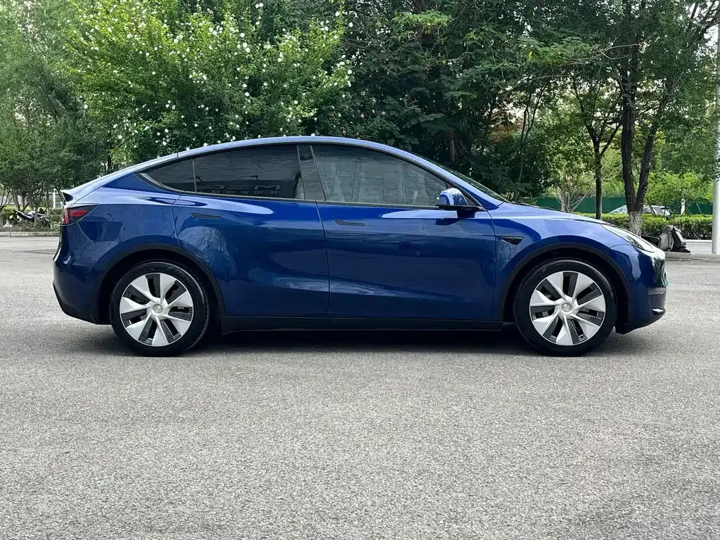 Tesla Model Y — фото 7