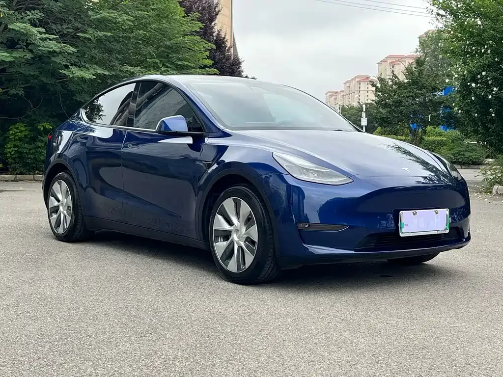Tesla Model Y — фото 9