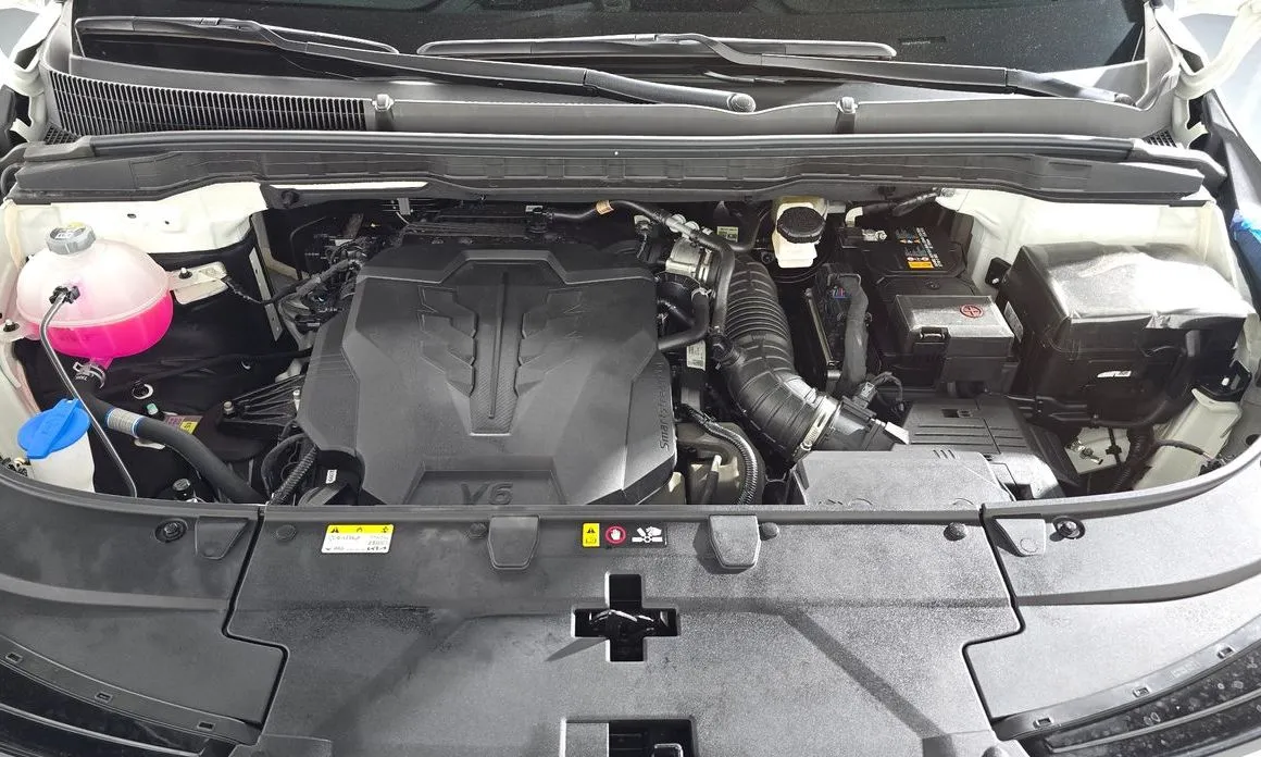 Kia Carnival — фото 10