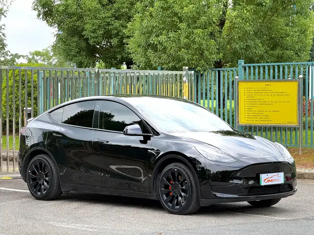Tesla Model Y — фото 9