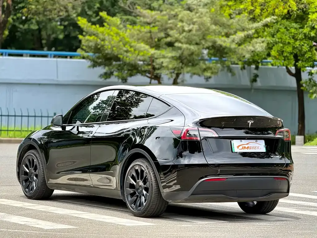 Tesla Model Y — фото 2