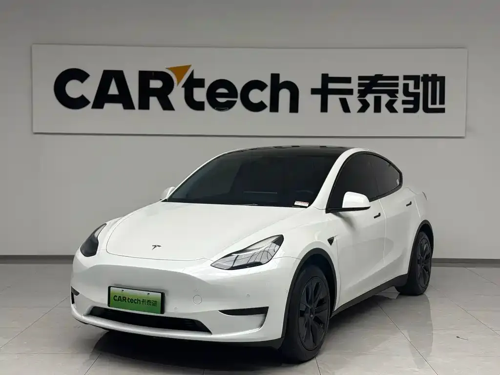 Tesla Model Y — фото 1