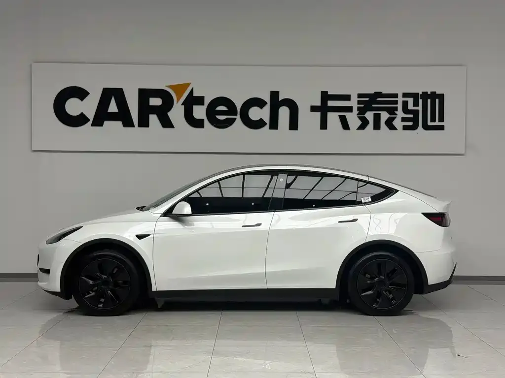 Tesla Model Y — фото 2