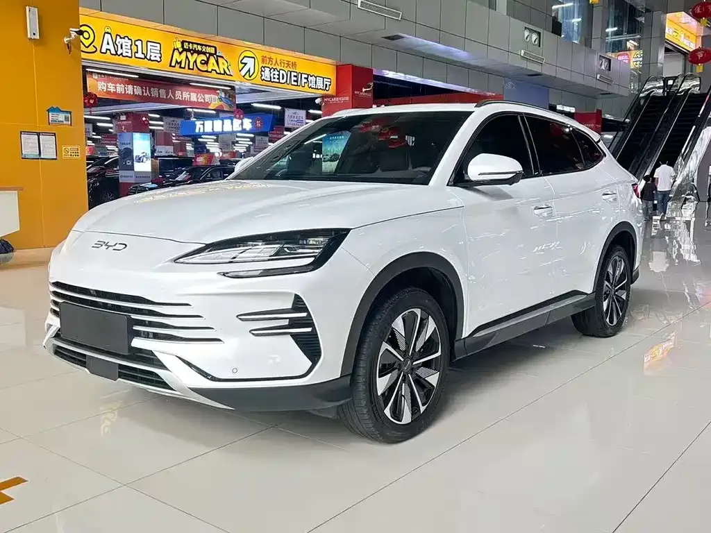 BYD PLUS New Energy — фото 1