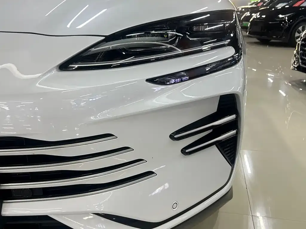 BYD PLUS New Energy — фото 2