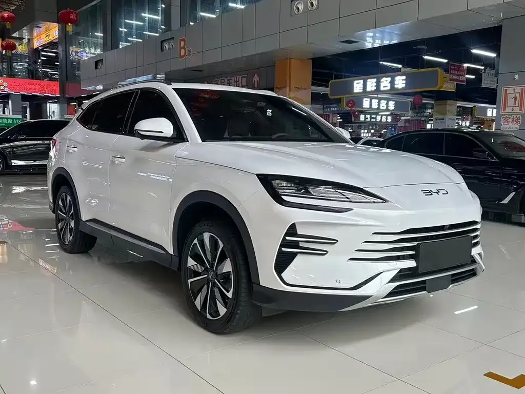 BYD PLUS New Energy — фото 6
