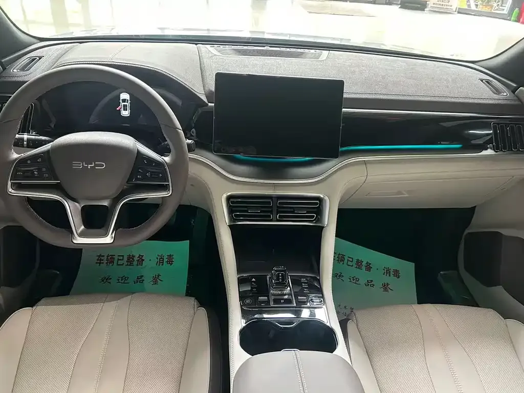 BYD PLUS New Energy — фото 10