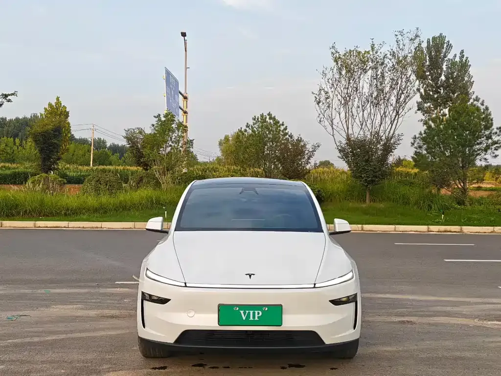 Tesla Model Y — фото 8