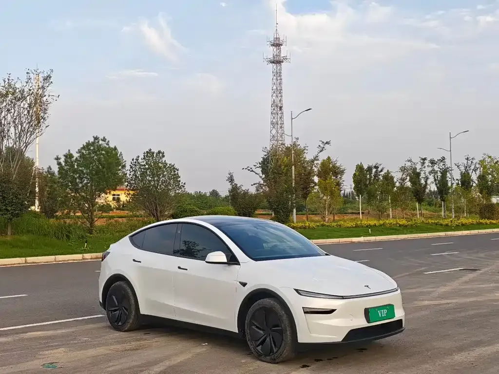 Tesla Model Y — фото 5